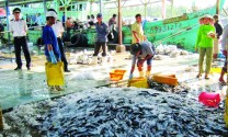 Hội Nghề cá Kiên Giang: Cần giải pháp cho nguồn lao động đi biển