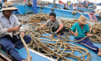 Hậu cần nghề cá Nghệ An: “Tiếp sức” cho ngư dân