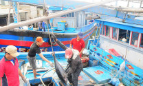 Hiệp hội Thủy sản tỉnh Bình Định: Tích cực đồng hành, hỗ trợ hội viên, ngư dân