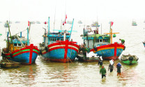 Hội Nghề cá Thanh Hóa đồng hành với ngư dân