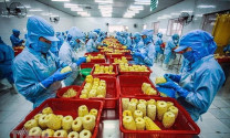 Hoa Kỳ trở thành thị trường nhập khẩu nông sản lớn nhất của Việt Nam