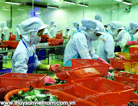 Xuất khẩu tôm Việt Nam sang Nhật Bản đang gặp khó vì Ethoxyquin