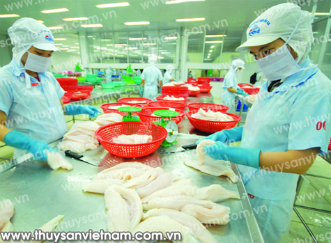 Đến giữa tháng 10/2012, Việt Nam mới xuất khẩu được 1,36 tỷ USD cá tra - Ảnh: Lê Hoàng Vũ