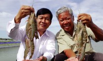 Chất Lượng Vàng thủy sản Việt Nam: “Bảng vàng” ngành thủy sản