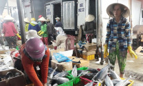 Ninh Thuận: Nhiều mặt hàng thủy, hải sản tăng giá sau Tết