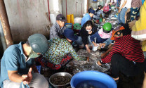 Bình Thuận: Giá hải sản đầu dịp lễ tăng nhẹ