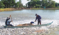 Sản xuất thủy sản tại các tỉnh phía Nam 6 tháng năm 2021