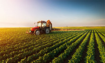 Ba đột phá chiến lược phát triển nông nghiệp – nông thôn