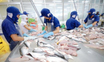 Nỗi lo khủng hoảng lương thực ở EU: Cơ hội cho cá tra Việt