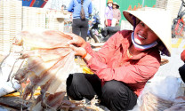 Thương lái gom hàng trữ Tết, nhiều loại hải sản tăng giá