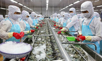 Năm 2023, kỳ vọng sự 'bùng nổ' xuất khẩu thủy sản sang thị trường Trung Quốc